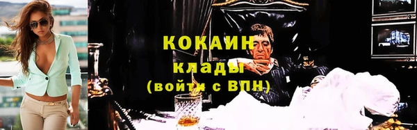 прущие грибы Корсаков