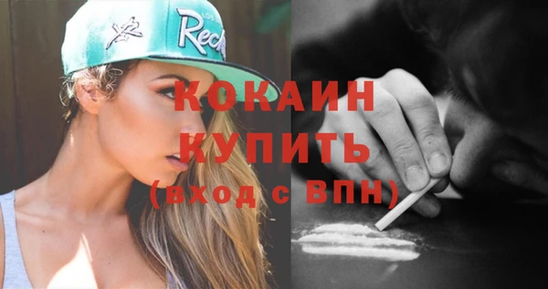 прущие грибы Корсаков