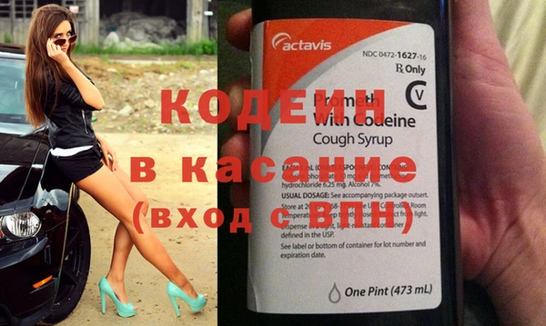 прущие грибы Корсаков