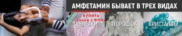 прущие грибы Корсаков
