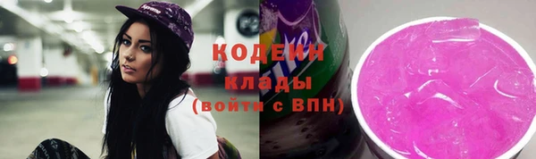 прущие грибы Корсаков