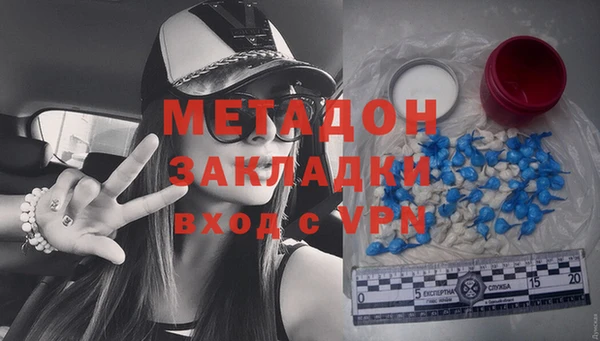 прущие грибы Корсаков
