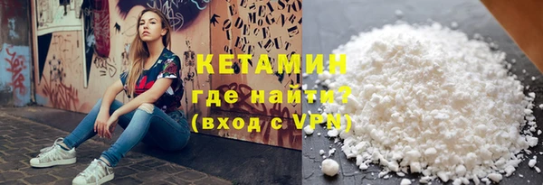 прущие грибы Корсаков