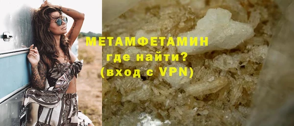 прущие грибы Корсаков