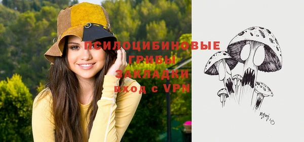 прущие грибы Корсаков